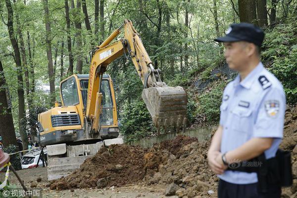 地心护核者巨蟒屏障属性怎么样