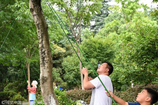 模拟农场22玛丽松出售站点在哪