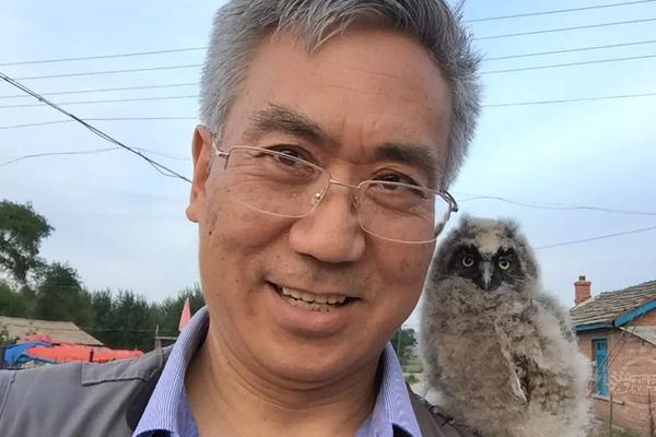 HaveaNiceDeath黑条是什么