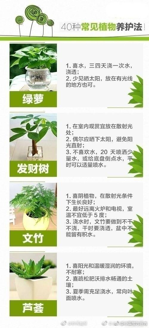 刺客信条英灵殿奥斯瓦德人物背景介绍